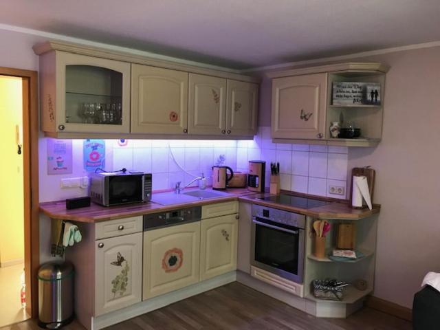 Gaestewohnung Saaleblick Weißenfels Kültér fotó